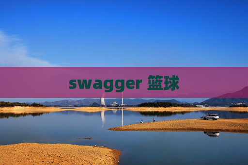 swagger 篮球 swagger 篮球